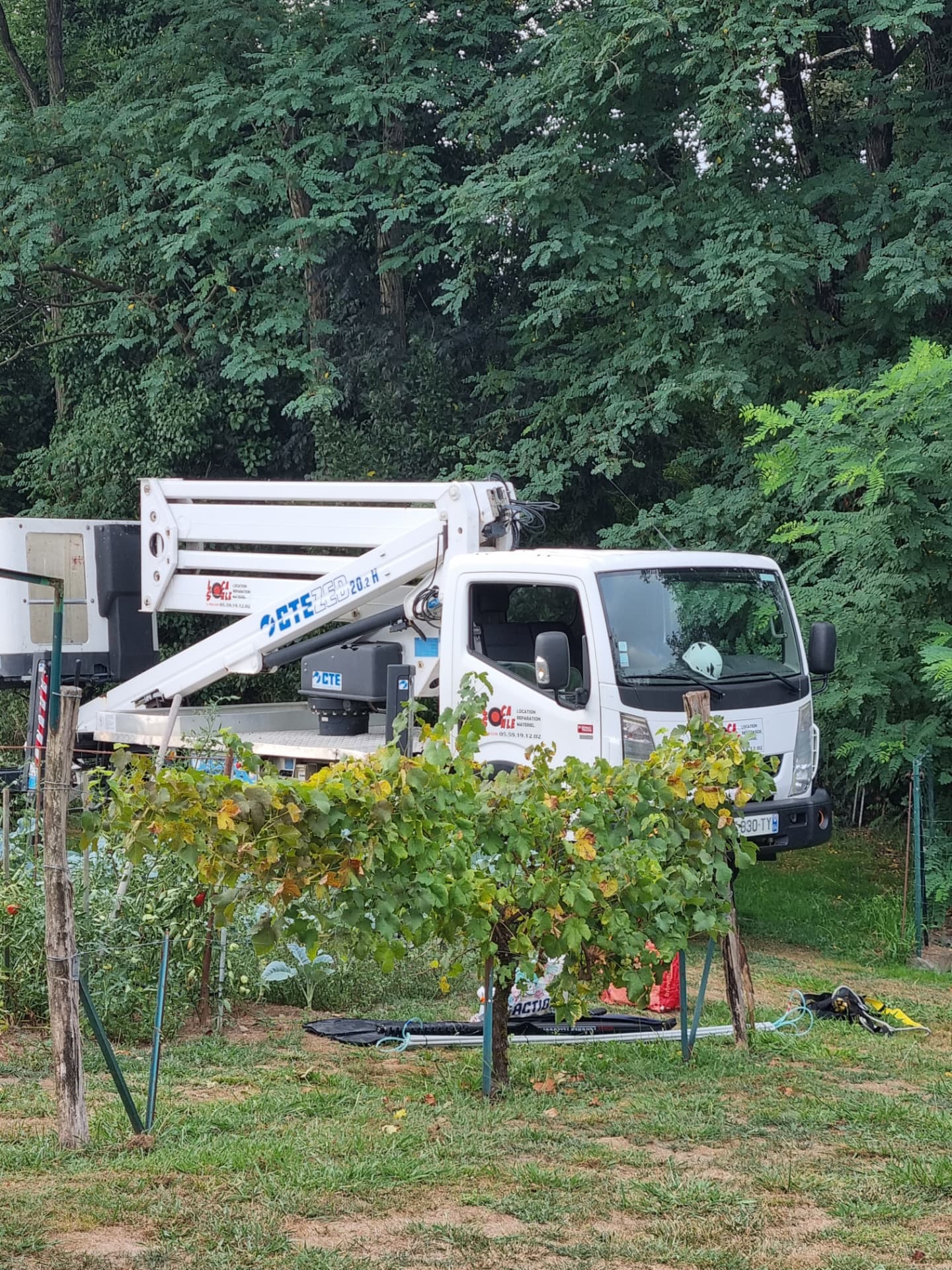 Nacelle utilisée pour accéder à un nid de frelons en grande hauteur